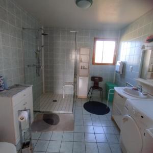 a bathroom with a shower and a toilet and a sink at Chalet Les Adrets du Sancy in Saint-Diéry +28 photos