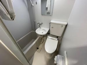 a small bathroom with a toilet and a sink at NORTH LIVE 2 in Ōdōri