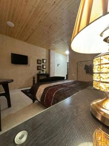 um quarto de hotel com uma cama e uma televisão em Green Garden Rooftop em Madaba