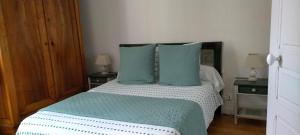 sypialnia z łóżkiem z niebieskimi poduszkami w obiekcie Calme & Indépendance w Lourdes