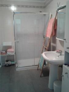 een badkamer met een douche en een wastafel bij Appartement Salir do Porto in Salir de Porto