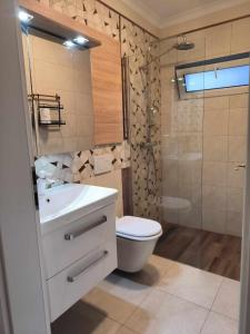 een badkamer met een toilet, een wastafel en een douche bij Luxury Airport Retreat in Cluj-Napoca