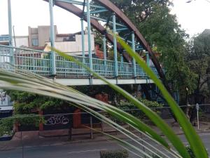 eine Brücke über eine Straße mit einer grünen Pflanze in der Unterkunft House Hotel Sweet Home 2 apartments in Medellín