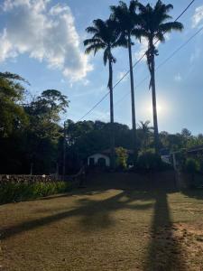 Pousada Cantinho do Mundo في برومادينهو: نخلتين في ساحة مع منزل