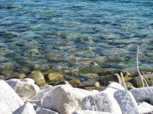 a group of rocks on the shore of the water at Onda Su Onda Appartamenti in Seccheto