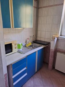 uma pequena cozinha com um lavatório e um micro-ondas em Apartmán na Jižní em Olomouc