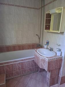 uma casa de banho com uma banheira, um lavatório e um espelho. em Apartmán na Jižní em Olomouc