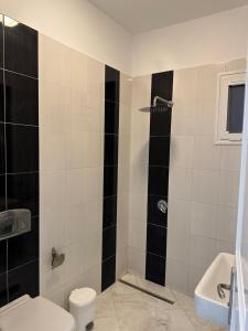 y baño con ducha, aseo y lavamanos. en Appartement haut standing 170 m2, en Túnez