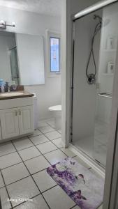 a bathroom with a shower and a sink and a toilet at Butterfly Ranch in St. Petersburg