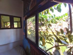 Zahrada ubytování Hostel Swastik