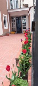 a row of red flowers in front of a building at Hotel Peja in Peje
