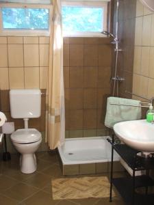 a bathroom with a toilet and a sink at Álomvölgy in Mány