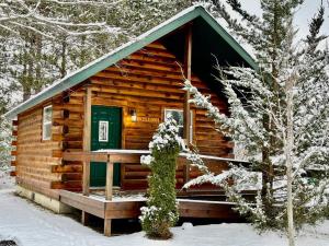 a log cabin with a green door in the snow at Willow Cabin in Thompsonville