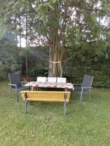 una mesa de picnic y dos sillas frente a un árbol en Apartmenthaus Rupitsch, en Leutasch