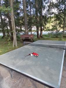 una mesa de ping pong con una raqueta de ping pong. en Apartmenthaus Rupitsch, en Leutasch