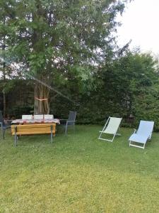 una mesa de picnic y dos sillas en el césped en Apartmenthaus Rupitsch, en Leutasch