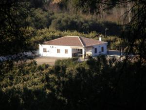 una casa blanca en medio de un campo en Casa Rural Alameda en Posadas Córdoba, en Posadas