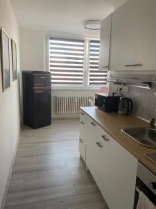 Kuchyň nebo kuchyňský kout v ubytování Apartmán v Třebíči