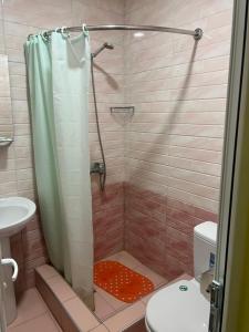 ein Bad mit einer Dusche, einem WC und einem Waschbecken in der Unterkunft Garni Bread House in Garni
