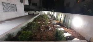 a garden with a row of plants next to a wall at Amzing two bedrooms in the middle of amman in Amman