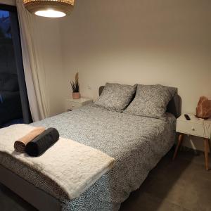 sypialnia z łóżkiem z 2 poduszkami w obiekcie Chambre au coeur des vignes w mieście Myans