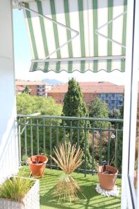 a balcony with three potted plants and a fence at In Famiglia in Biella