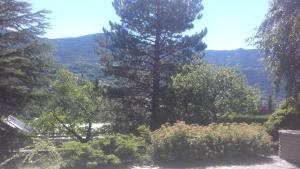 a tree in a garden with mountains in the background at Villa Soleil 12 rue Joseph Mathieu in Guillestre