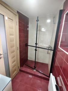 a bathroom with a shower with a red tile floor at Zen Studio Slatina in Slatina