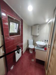 La petite salle de bains est pourvue de toilettes et d'un lavabo. dans l'établissement Zen Studio Slatina, à Slatina