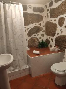 Un baño con cortina de ducha y un inodoro. en Casa Na Montanha Da Neve, en Seia 81 fotos más