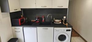 a small kitchen with a sink and a washing machine at calme appartement de vacances in Écouen +7 photos