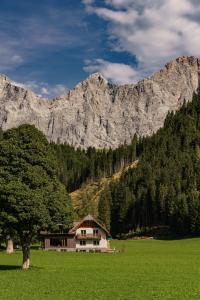 a house in a field in front of a mountain at Alpenrose Boutique Chalet Gretl in Ramsau am Dachstein