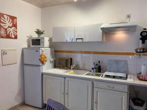 a kitchen with a white refrigerator and a sink at Les Cormorans Studio Corail in Saint-Joseph