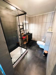 La salle de bains est pourvue d'une douche en verre et de toilettes. dans l'établissement Le petit Broux, à Aywaille