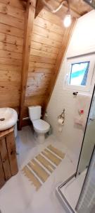 La salle de bains est pourvue de toilettes et d'un lavabo. dans l'établissement Cabanuta Sofia, à Slon