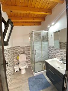 a bathroom with a toilet and a shower and a sink at CASITA LAS VISTAS in Frontera