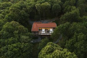una vista aérea de una casa en medio de un bosque en Abeiro da loba, 