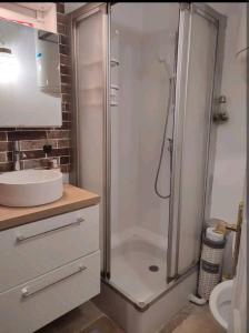 y baño con ducha y lavamanos. en Superbe Loft cocooning en Ustou