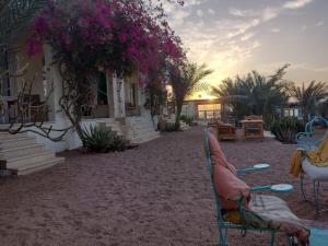 a couple of chairs sitting in front of a house at Marine Garden Camp in Dahab