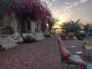 un par de sillas sentadas frente a una casa en Marine Garden Camp, en Dahab