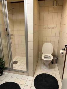 uma casa de banho com um WC e um chuveiro com uma porta de vidro em Nyoppusset og romslig leilighet med 6 soveplasser i et familievennlig område em Sarpsborg