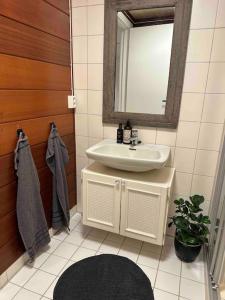 a bathroom with a sink and a mirror at Nyoppusset og romslig leilighet med 6 soveplasser i et familievennlig område in Sarpsborg