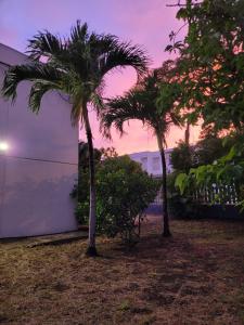 deux palmiers devant un bâtiment avec un coucher de soleil dans l'établissement Tropical Love, à Étang-Salé les Bains