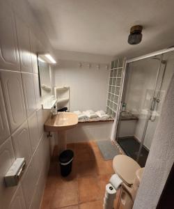 a bathroom with a shower and a sink and a toilet at Vv Casa Muya in Icod de los Vinos