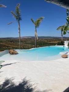 a swimming pool with palm trees in the background at Finca el Atardecer-Luna in Los Santos de Maimona
