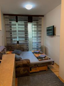 a living room with a bed and a couch at Apartman AM Sarajevo in Sarajevo