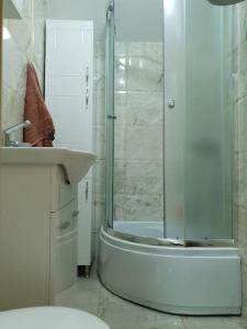 La salle de bains est pourvue d'une douche, de toilettes et d'un lavabo. dans l'établissement Ljupki apartman 2 km od centra i besplatan parking, à Podgorica