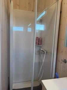 y baño con ducha y puerta de cristal. en Nice whole year Cottage byThingvallavatn, en Veiðilundur