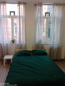 a bedroom with a green bed and two windows at Logements Outremeuse 2G in Liège