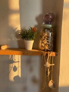 Bilde i galleriet til AJARIF ⴰⵊⴰⵔⵉⴼ - Fisherman cabin i Tamri